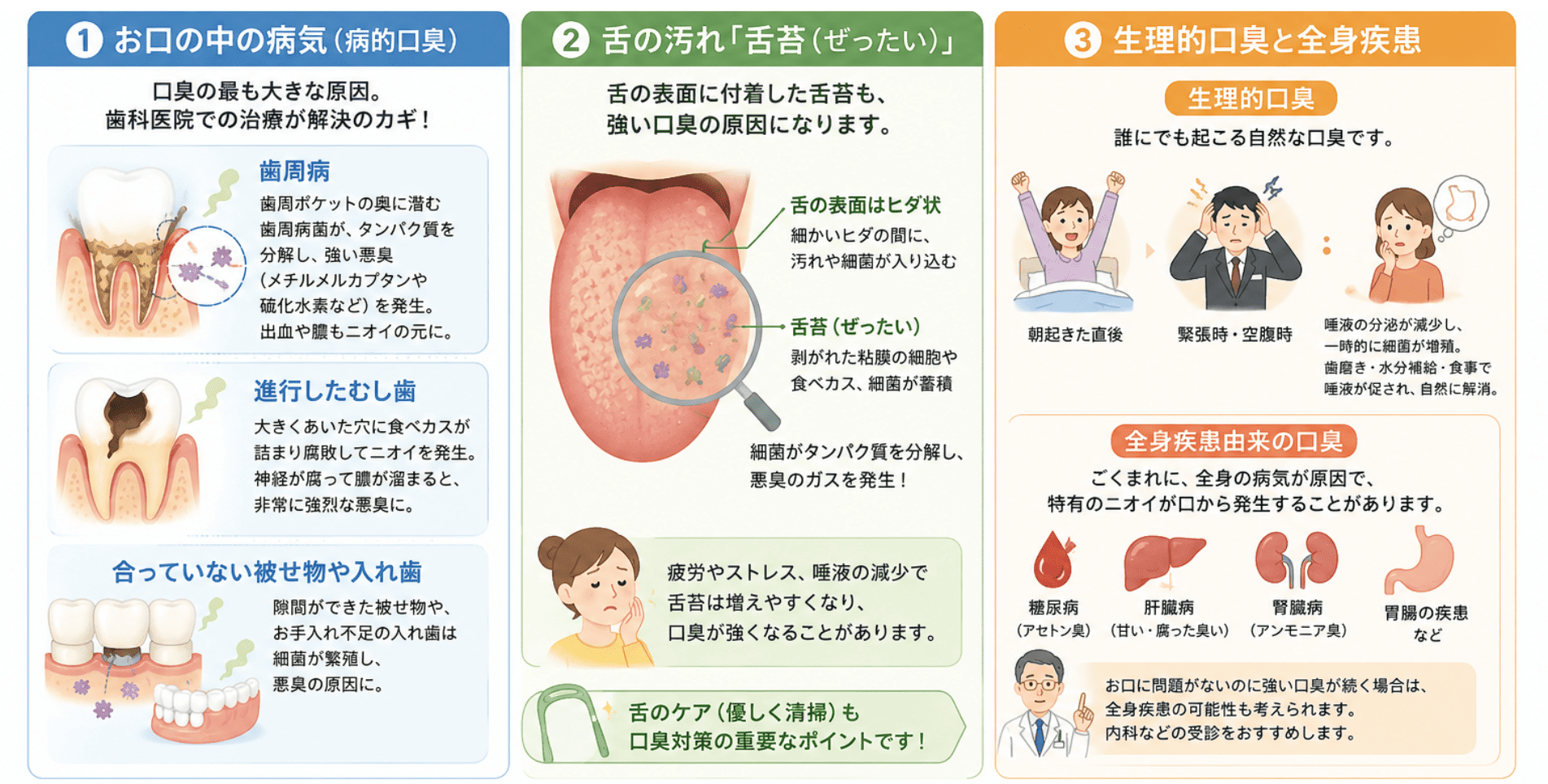 口臭を引き起こす3つの主な原因|うぐいす歯科